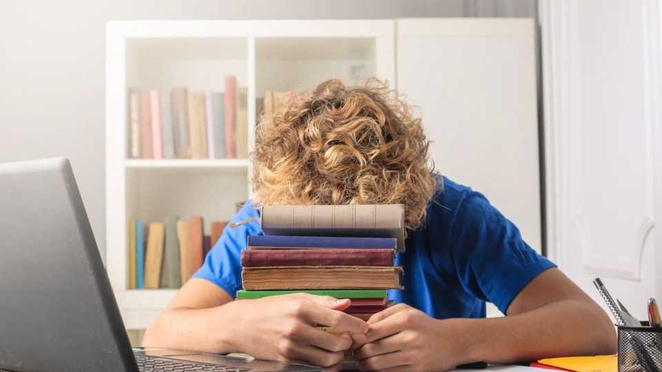 Set Up Your Study Space